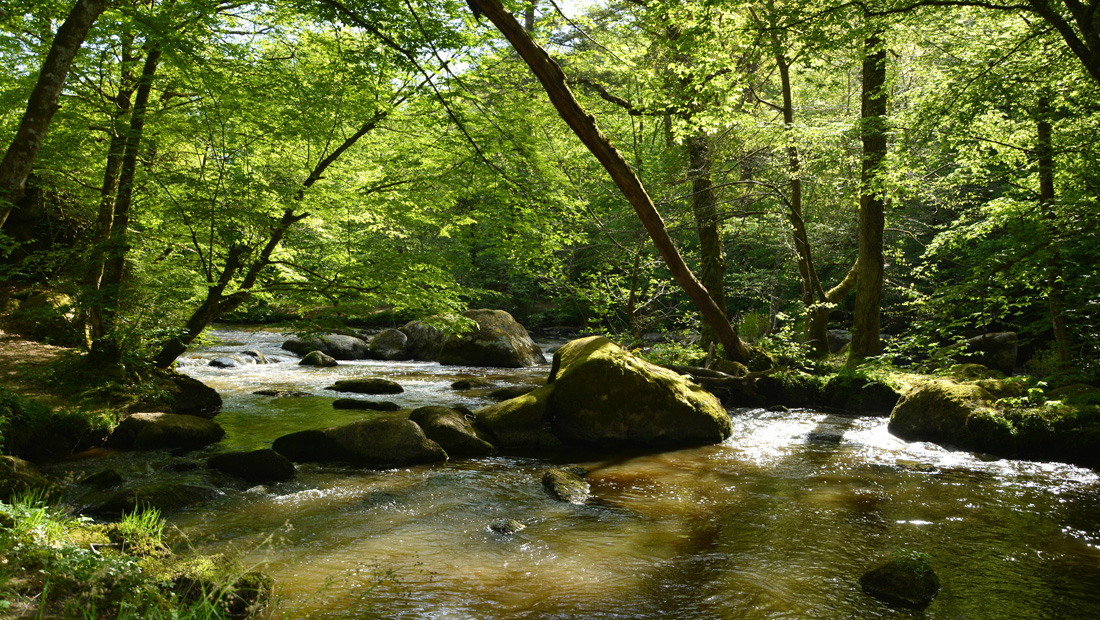 Site Corot et vallée de la Glane