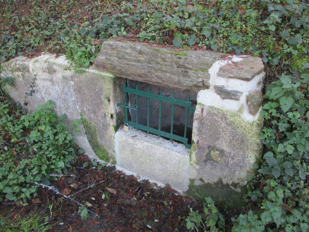 Source du Bas-moulin