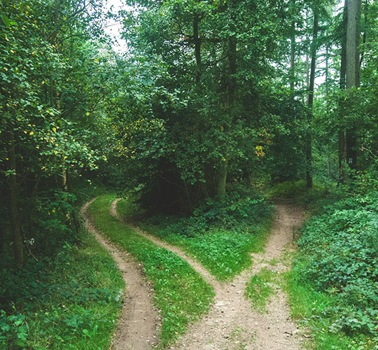 Chemin Chemin